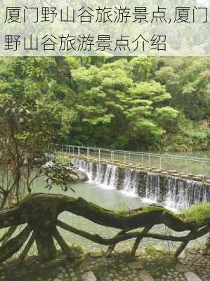 厦门野山谷旅游景点,厦门野山谷旅游景点介绍