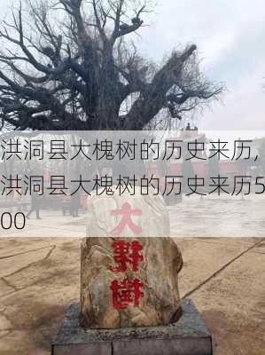 洪洞县大槐树的历史来历,洪洞县大槐树的历史来历500