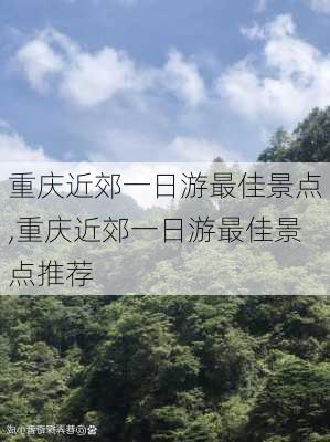 重庆近郊一日游最佳景点,重庆近郊一日游最佳景点推荐