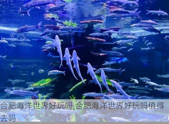 合肥海洋世界好玩吗,合肥海洋世界好玩吗值得去吗