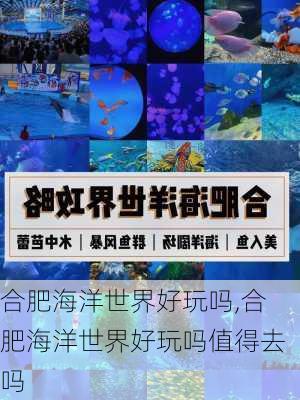 合肥海洋世界好玩吗,合肥海洋世界好玩吗值得去吗