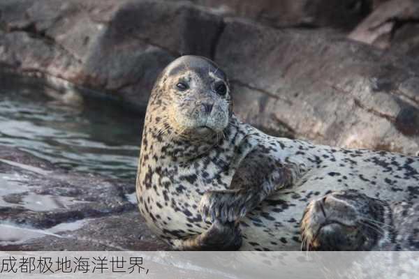 成都极地海洋世界,