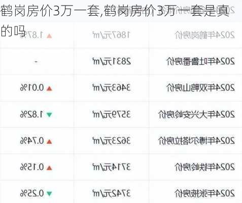 鹤岗房价3万一套,鹤岗房价3万一套是真的吗