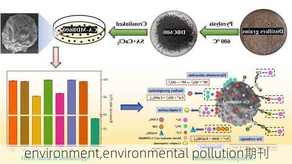 environment,environmental pollution期刊