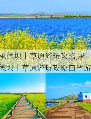 承德坝上草原游玩攻略,承德坝上草原游玩攻略自驾游