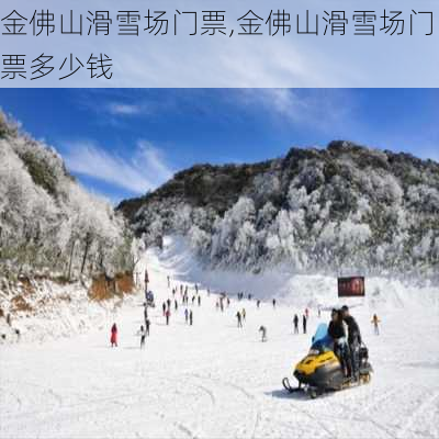 金佛山滑雪场门票,金佛山滑雪场门票多少钱