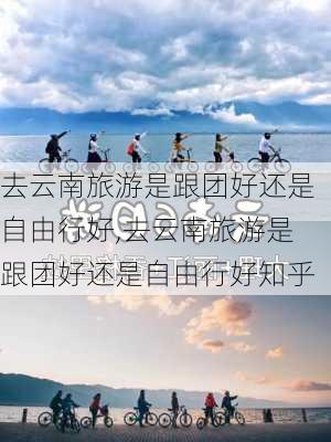 去云南旅游是跟团好还是自由行好,去云南旅游是跟团好还是自由行好知乎