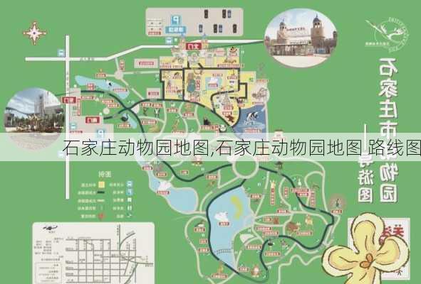 石家庄动物园地图,石家庄动物园地图 路线图