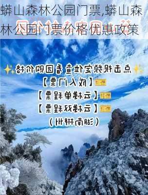 蟒山森林公园门票,蟒山森林公园门票价格优惠政策