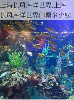 上海长风海洋世界,上海长风海洋世界门票多少钱