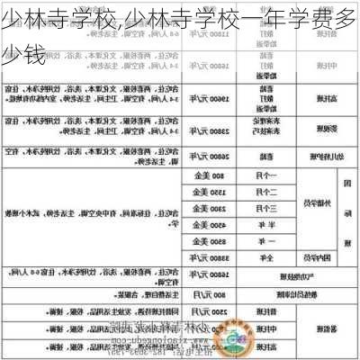 少林寺学校,少林寺学校一年学费多少钱